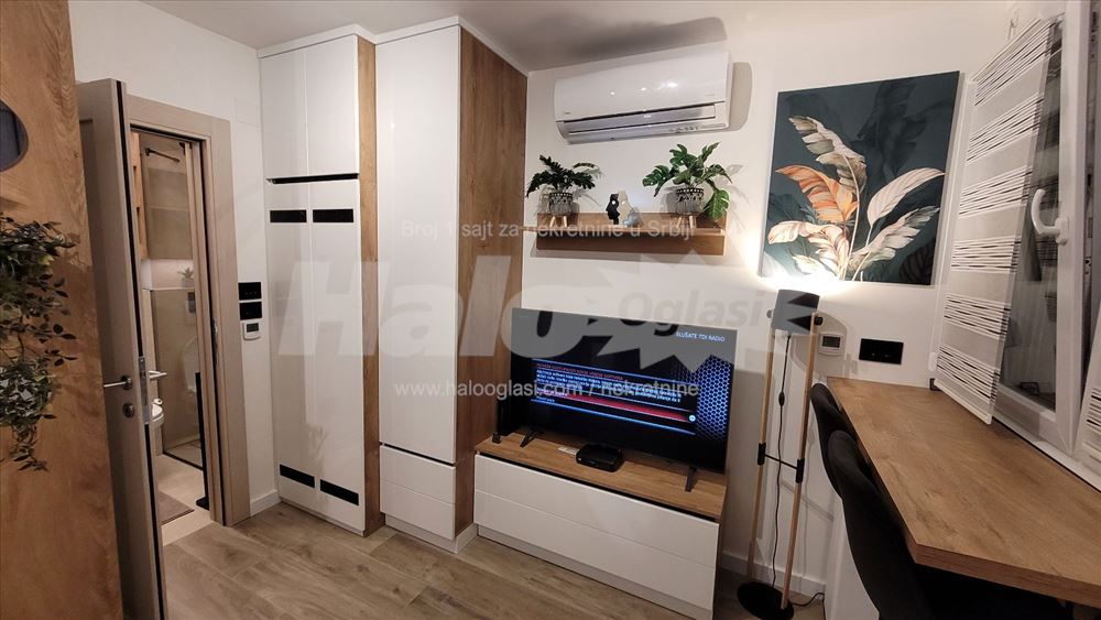 Izdajem lux garsonjeru, Galenika — 10