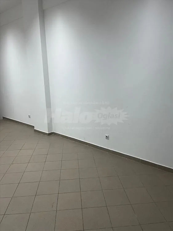 Izdajem Namesten Stan u Vojvode Stepe kod fona — 5