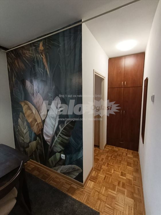 Izdajem namesten stan,50m2,Branka Copica,Mirijevo — 8