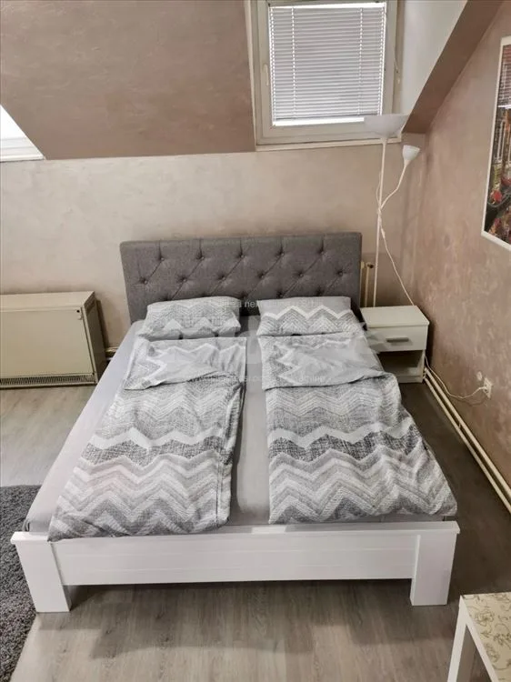 Izdajem renoviranu garsonjeru na Labudovom brdu — 10