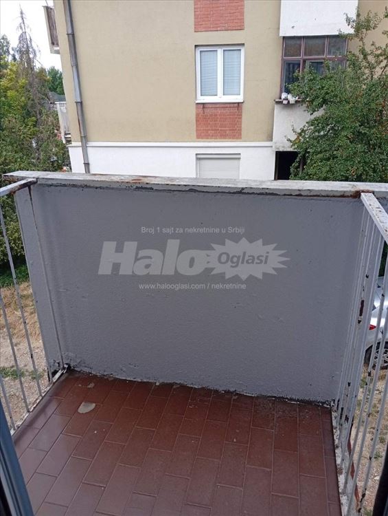 Izdajem stan, Višnjicka Banja, Palilula — 11