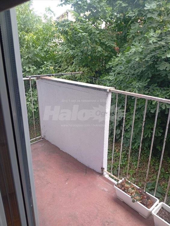 Izdajem stan, Višnjicka Banja, Palilula — 12
