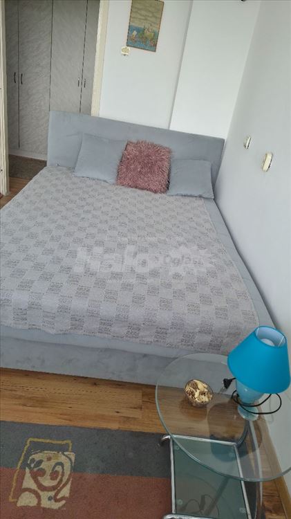 Izdajem svetao namešten stan ,okružen zelenilom — 9