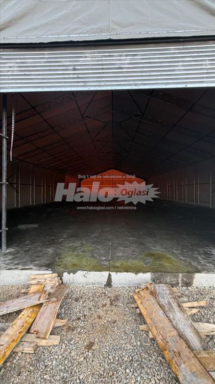 Izdavanje hale u Busijama — 6