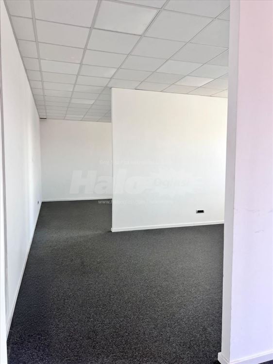 Izdavanje kancelarije, Beograd novo-lux — 14