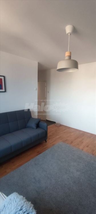 Izdavanje renoviranog i opremljenog stana — 5