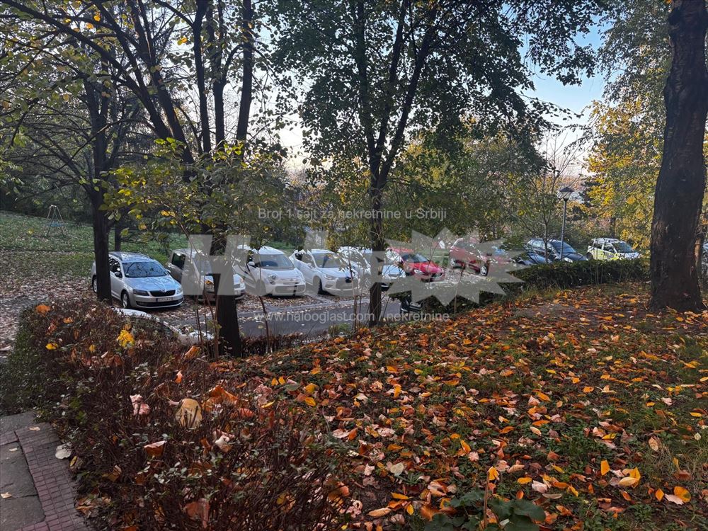 Izdavanje - Stan 50m2 - Višnjički venac 89/1 — 2
