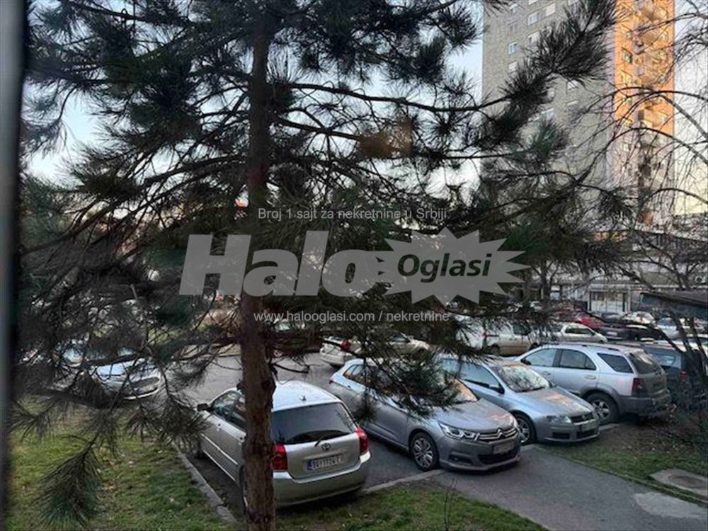 Izdavanje stana, Novi Beograd kod Fontane — 11