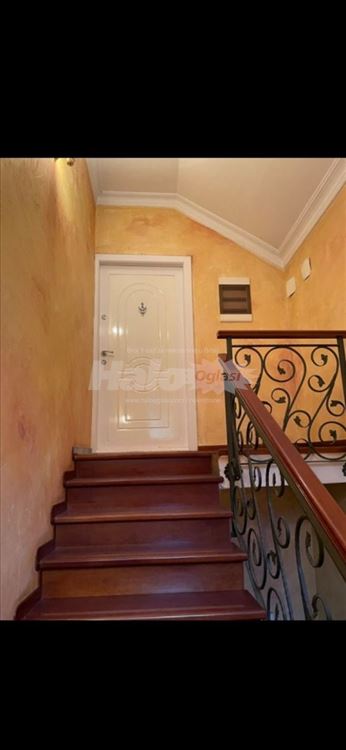Izdavanje, ul. Smederevska, Palilula — 8