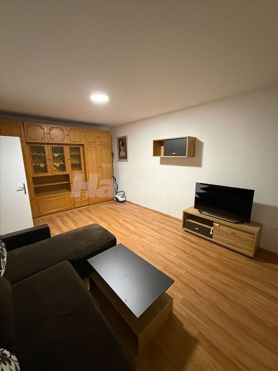 Iznajmljujem stan kod darvinove pošte — 8