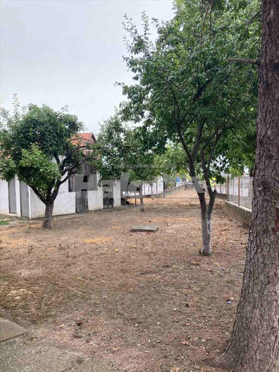 Izuzetna kuća u Ugrinovcima — 4