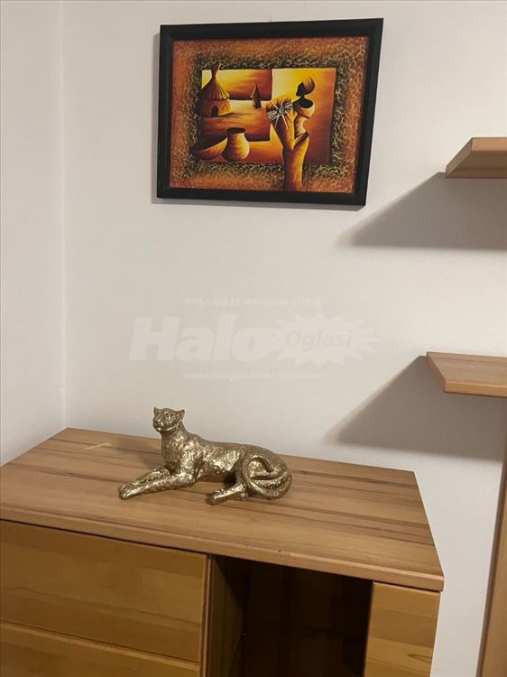 Jednoiposoban stan Dalmatinska, Vlasnik — 3