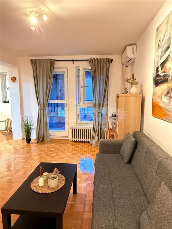 Jednoiposoban stan na Dorcolu, 45m2 — 5