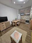 Jednoiposoban stan za izdavanje, Cvetanova Ćuprija 107J, 500€, 50m² — 10