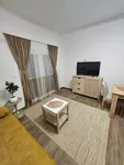 Jednoiposoban stan za izdavanje, Cvetanova Ćuprija 107J, 500€, 50m² — 11