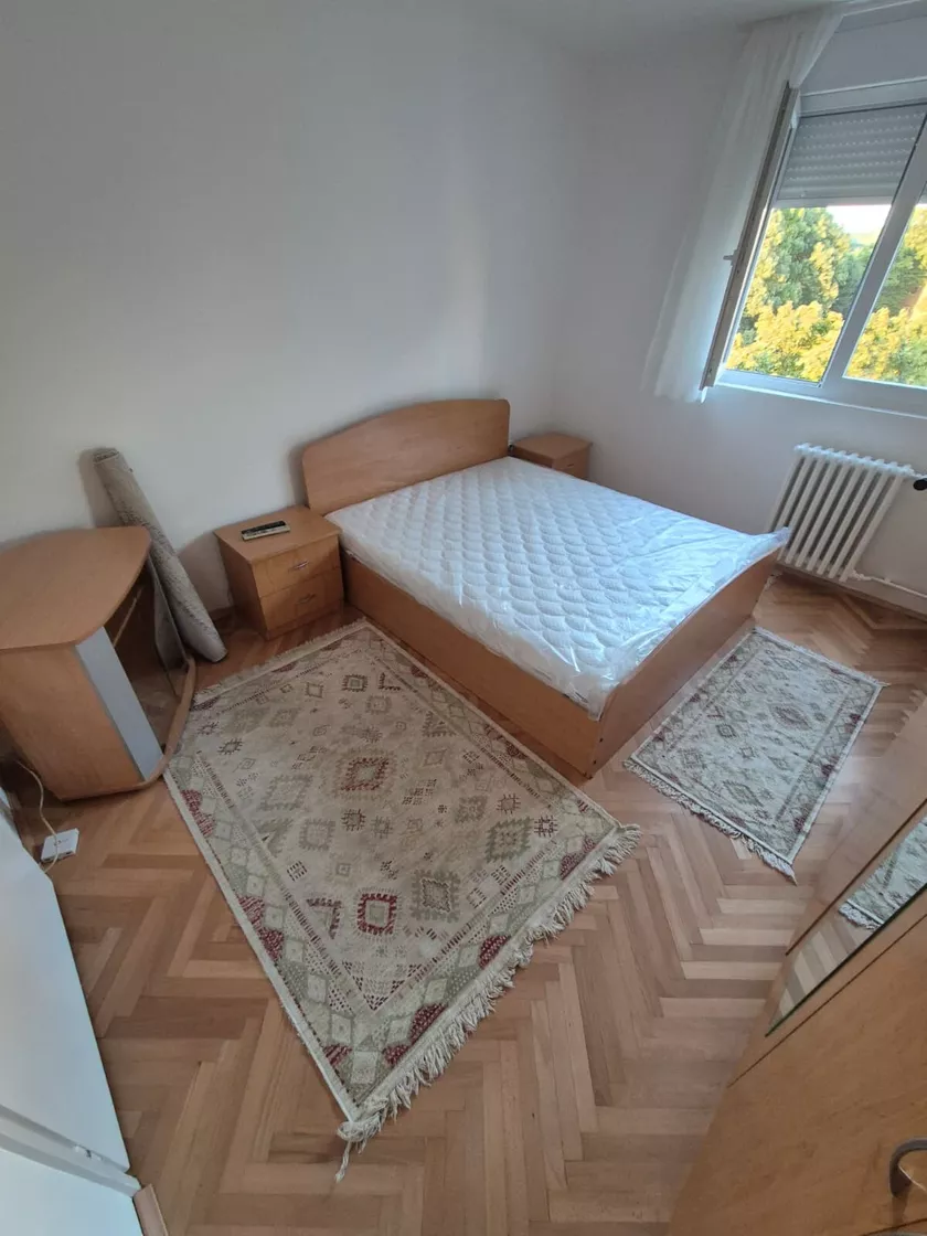 Jednoiposoban stan za izdavanje, Patrisa Lumumbe 33, 450€, 45m² — 4