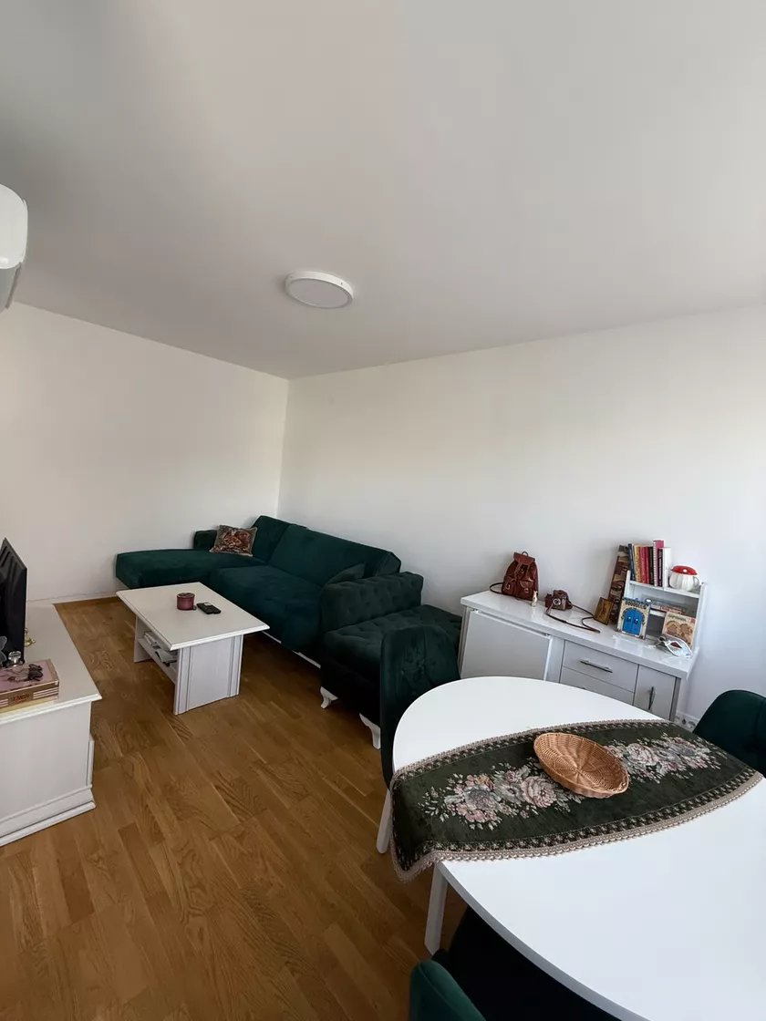 Jednoiposoban stan za izdavanje, Petra Dobrovića 12, 350€, 45m² — 2