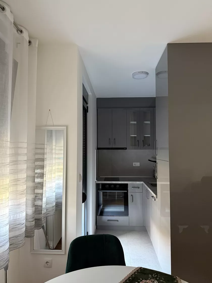 Jednoiposoban stan za izdavanje, Petra Dobrovića 12, 350€, 45m² — 5