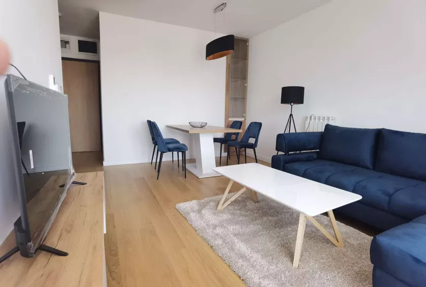Jednoiposoban stan za izdavanje, Zemunska, 400€, 33m² — 5