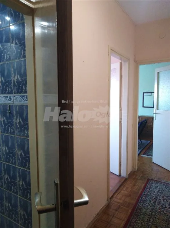Jednosoban stan u Borskoj ulici, Miljakovac 1 — 11