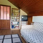 Jednosoban stan za izdavanje, Kumodraž, 250€, 20m² — 12