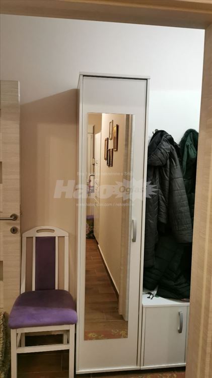 Jrdnosoban stan, 40 m2, auto komanda, ranka tajsić — 2