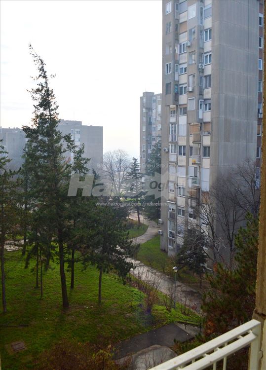 Julino Brdo, 3.0+terasa, polunamešten — 4