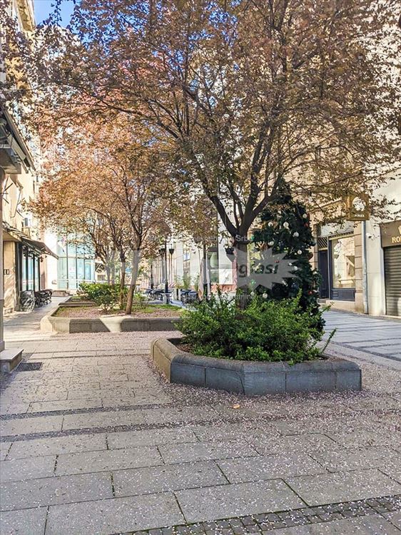 Kompletno renoviran stan – pešačka zona, Uskočka — 11