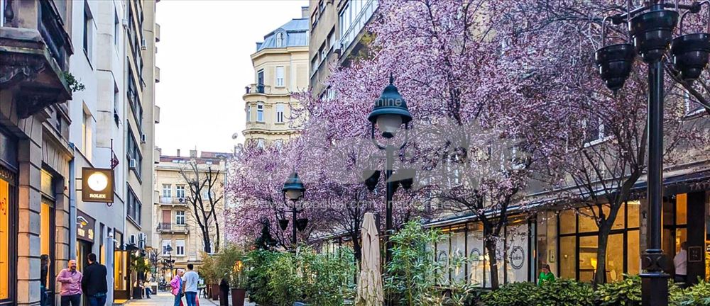 Kompletno renoviran stan – pešačka zona, Uskočka — 12