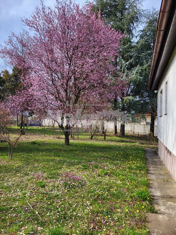 Kosmaj Babe kuća u srcu vikend naselja — 2