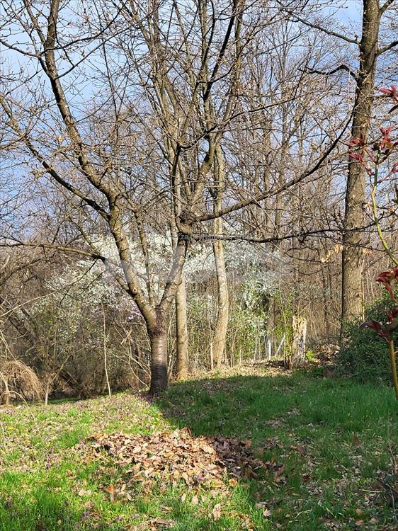 Kosmaj Babe kuća u srcu vikend naselja — 5