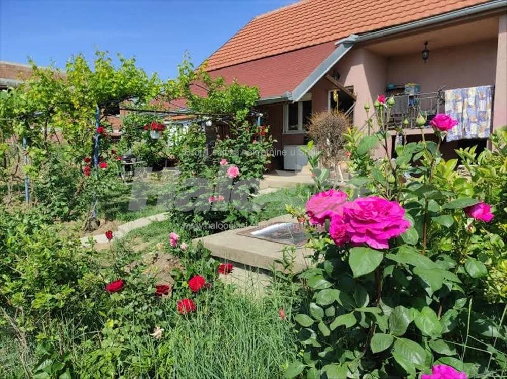Kuća 141+43m2 na 15 ari, Surčin, Ključ — 14