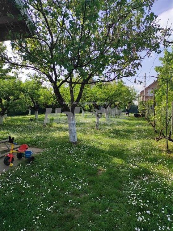 Kuća 141+43m2 na 15 ari, Surčin, Ključ — 15