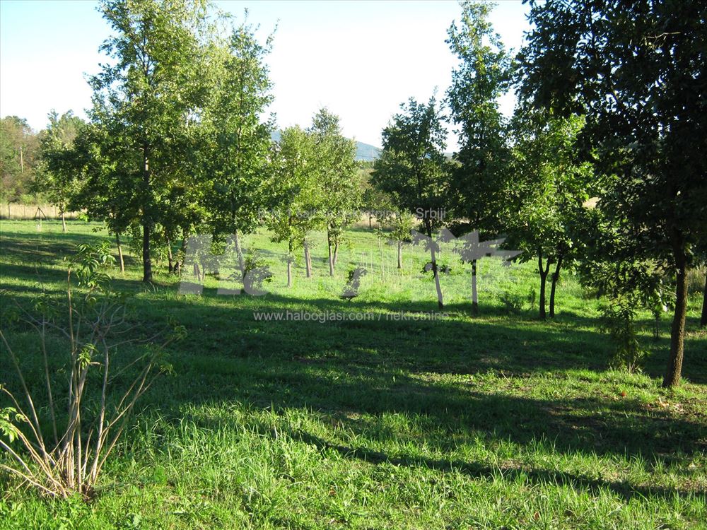 Kuća 187m2 i 349 ari - Koamaj (Stojnik) — 3