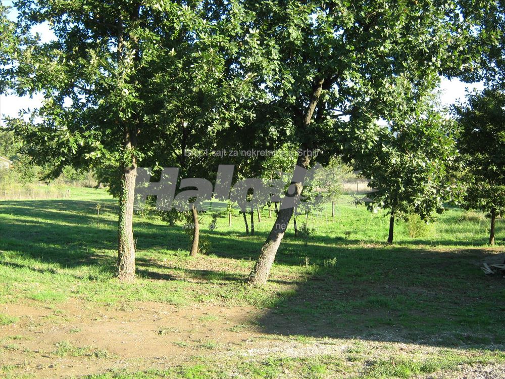 Kuća 187m2 i 349 ari - Koamaj (Stojnik) — 6