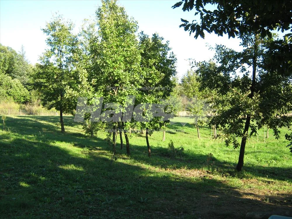 Kuća 187m2 i 349 ari - Koamaj (Stojnik) — 7