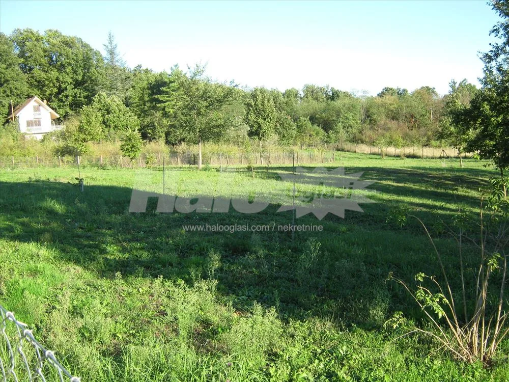 Kuća 187m2 i 349 ari - Kosmaj (Stojnik) — 4