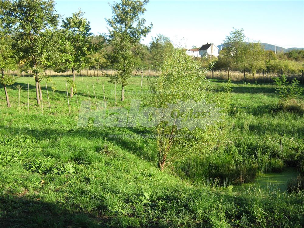 Kuća 187m2 i 349 ari - Kosmaj (Stojnik) — 8