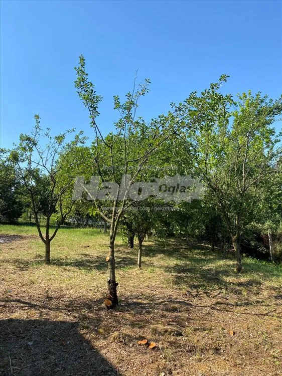 KUĆA Barajevo Lisović-Grabovac — 8
