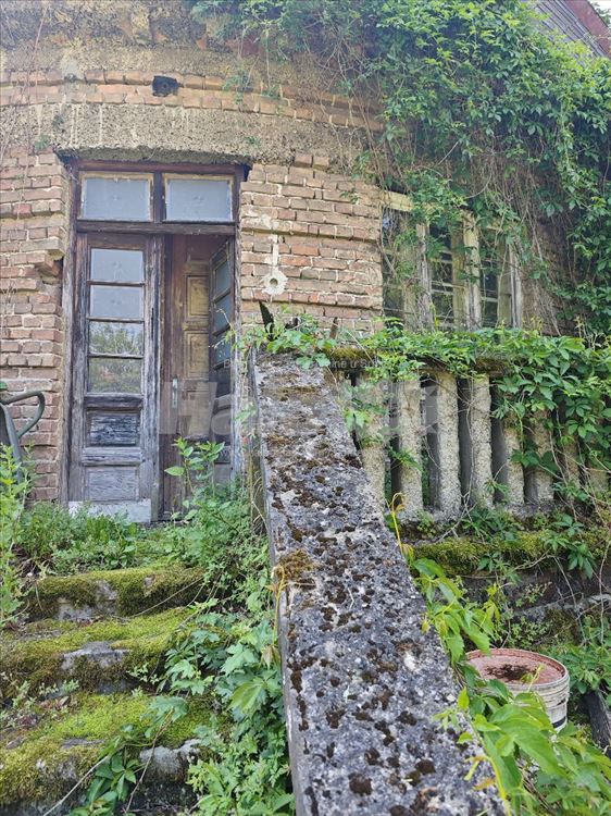 Kuča iz bajke na samoj ivici Miljakovačke šume — 2