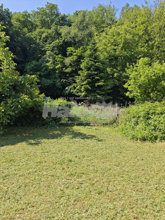 Kuča iz bajke na samoj ivici Miljakovačke šume — 5