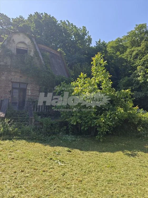 Kuča iz bajke na samoj ivici Miljakovačke šume — 9