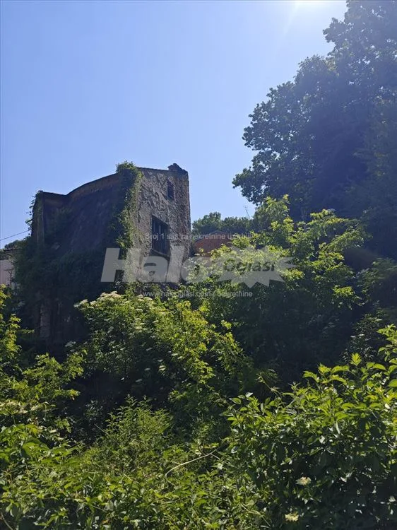 Kuča iz bajke na samoj ivici Miljakovačke šume — 11