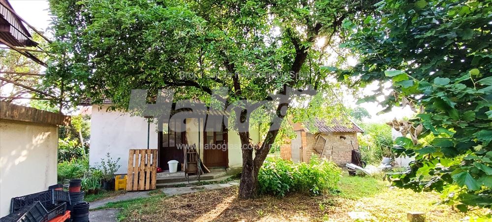 Kuća kod Obrenovca+20 ari placa+pomoćni objekti — 4