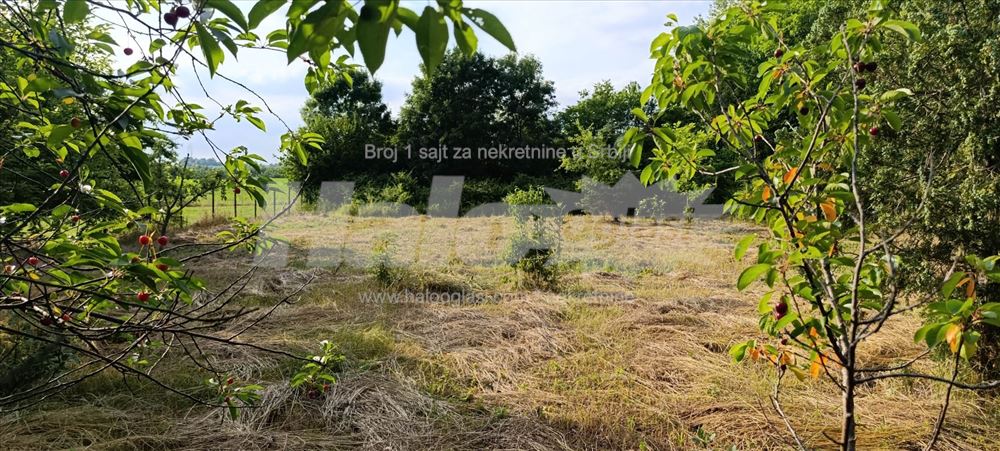 Kuća kod Obrenovca+20 ari placa+pomoćni objekti — 5