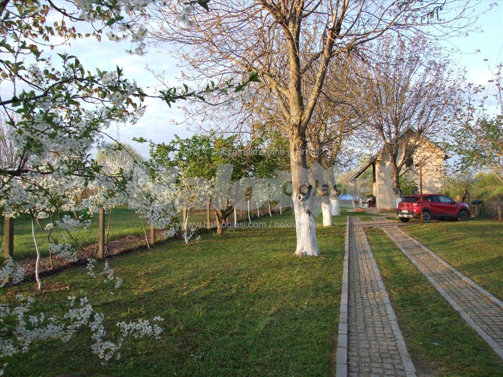 Kuća nove gradnje na 24 ara na ribnjaku - Boljevci — 3