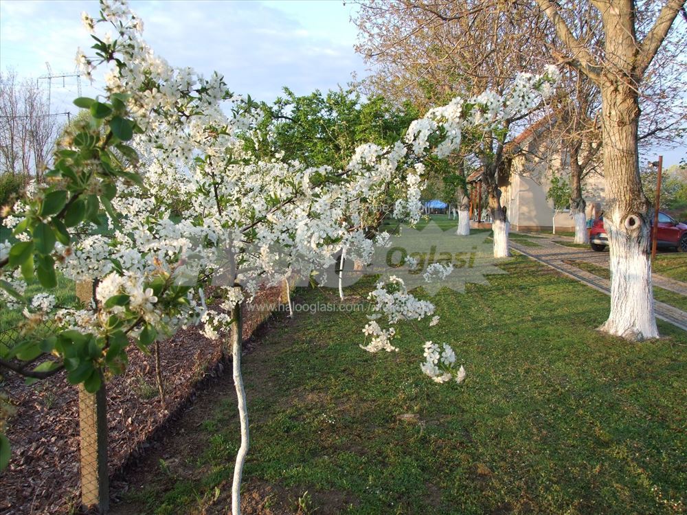 Kuća nove gradnje na 24 ara na ribnjaku - Boljevci — 4
