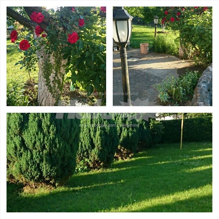 Kuća sa panoramskim pogledom — 3