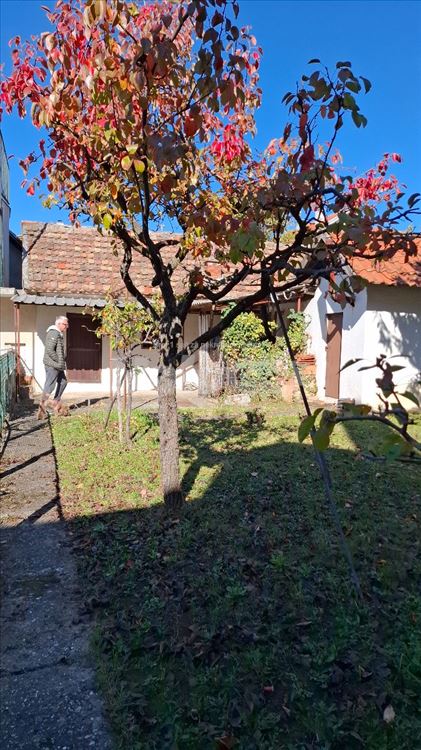 Kuća u mirnom delu Sremčice - PR+P1+PK — 4