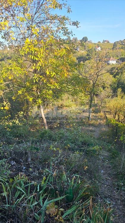Kuća, Vikendica, Grocka, Strazevica — 6